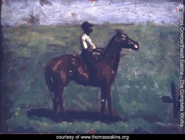 Negro boy on a bay horse